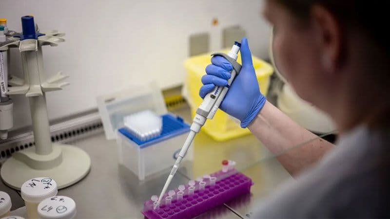 Hantavirüs Şüphesiyle Türkiye'ye Getirilen Vatandaşların Testleri Negatif Çıktı