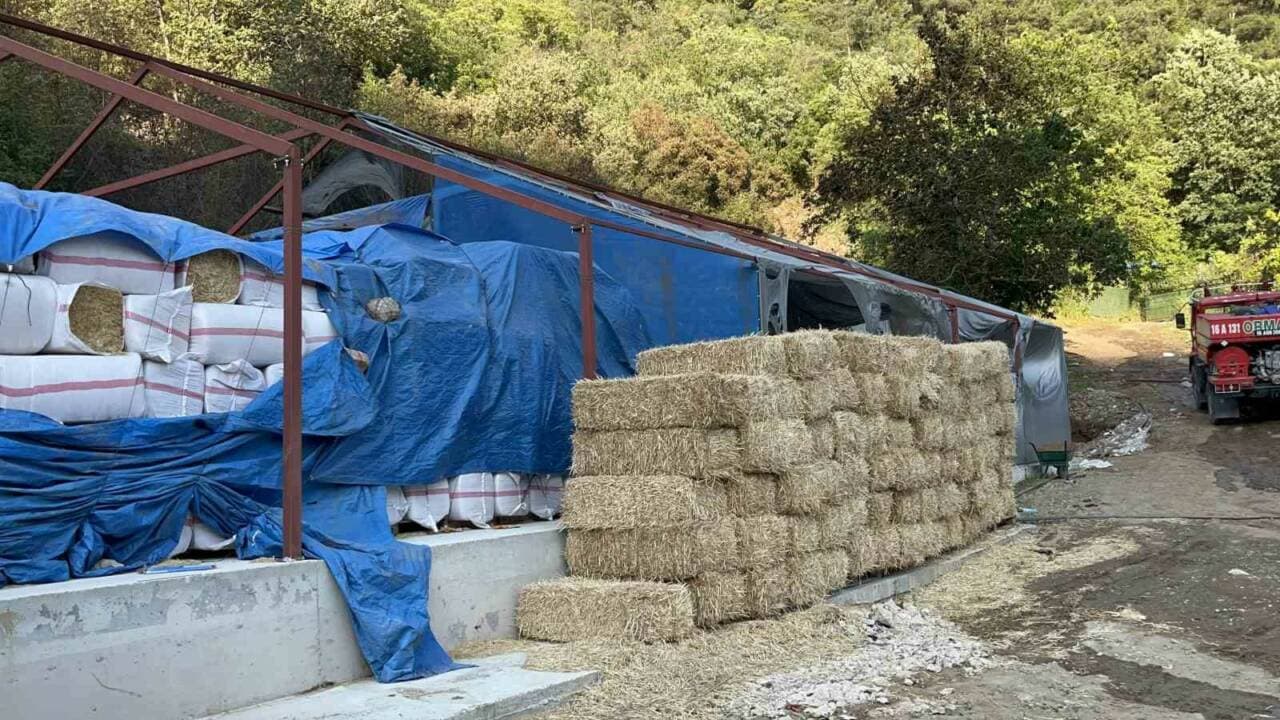 Bursa Orhaneli'deki Orman Yangını Şüphelisi Gözaltına Alındı