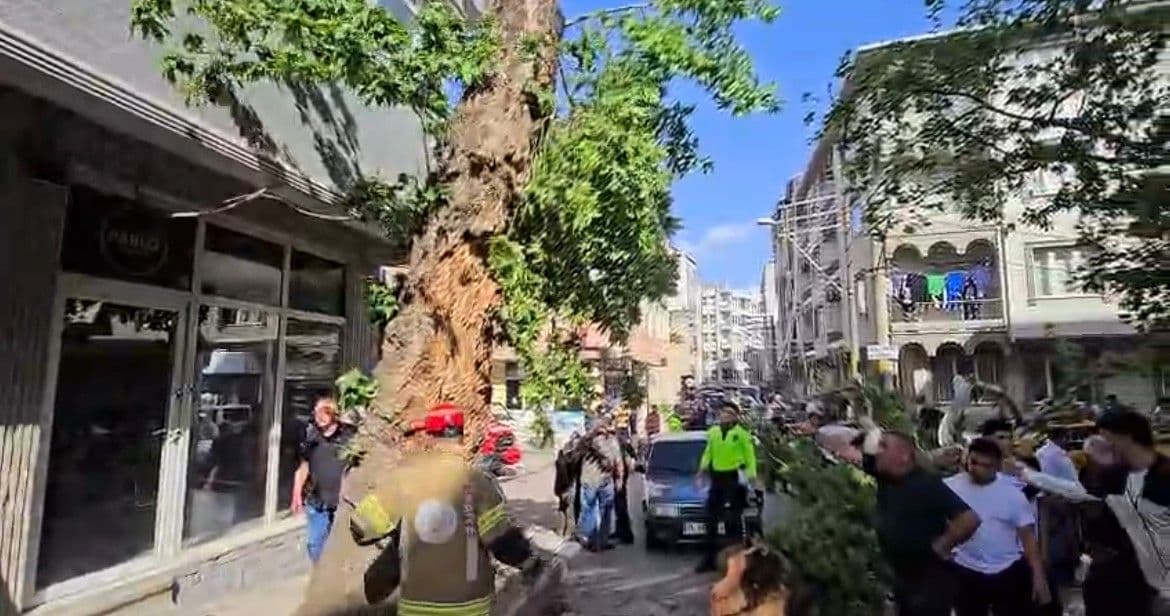 Karacabey'de devrilen ağacın altında kalan motosiklet ve araçlar, olay yerinde ekipler.