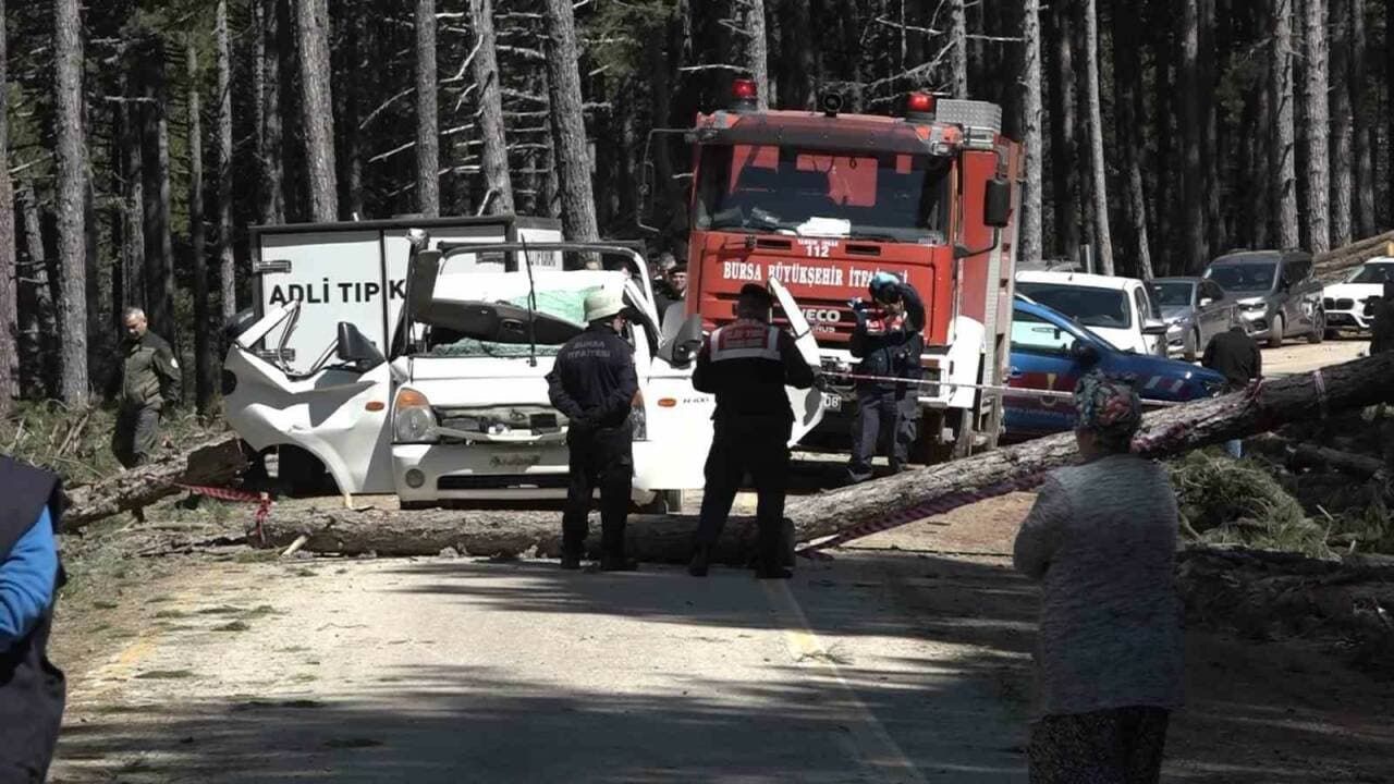 Bursa Uludağ'da devrilen ağacın altında kalan kamyonet ve olay yerindeki ekipler.