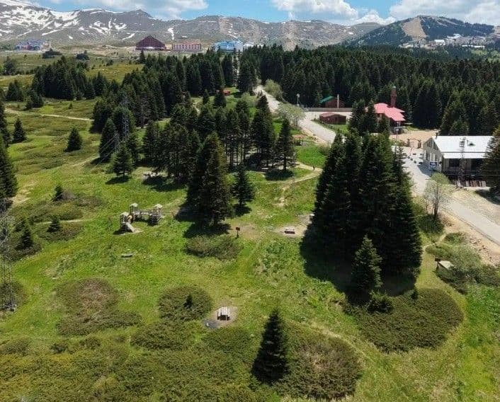 Uludağ'da temizlenmiş ormanlık alan ve piknik yeri manzarası.