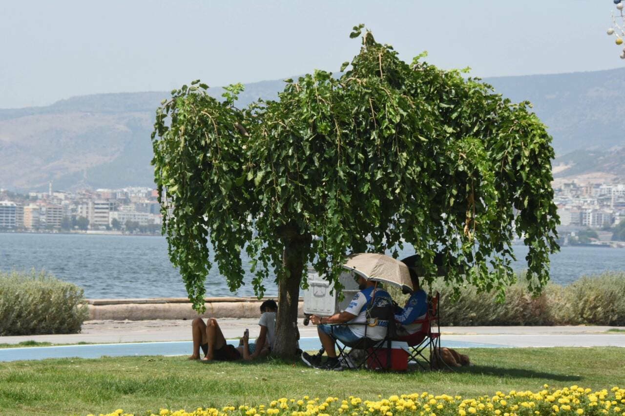 Uzmanlar Uyardı: Türkiye'de Aşırı Sıcaklar ve Orman Yangını Riski Yükseliyor