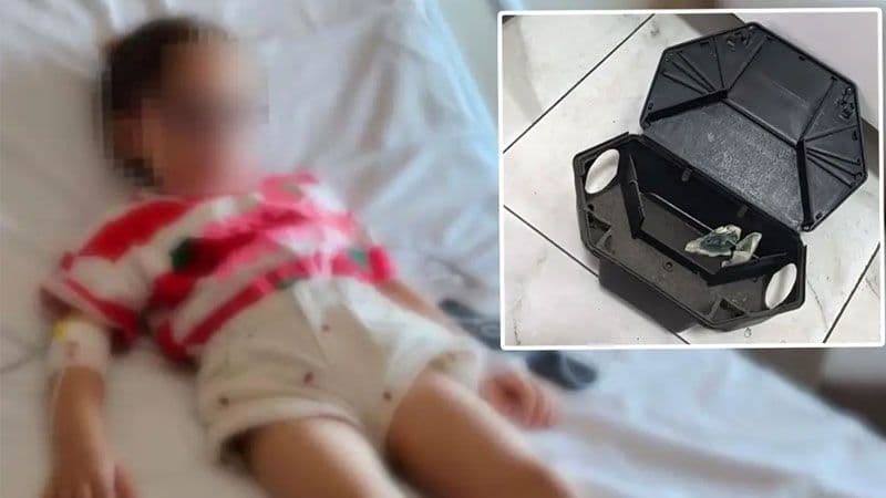 Kocaeli'de Kreşte İhmal: Küçük Çocuk Fare Zehiriyle Temas Etti, Hastaneye Kaldırıldı