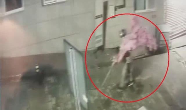 Bursa'da Kasklı Şüpheli, Kafeden 15 Bin Liralık Süs Ağacını Çaldı