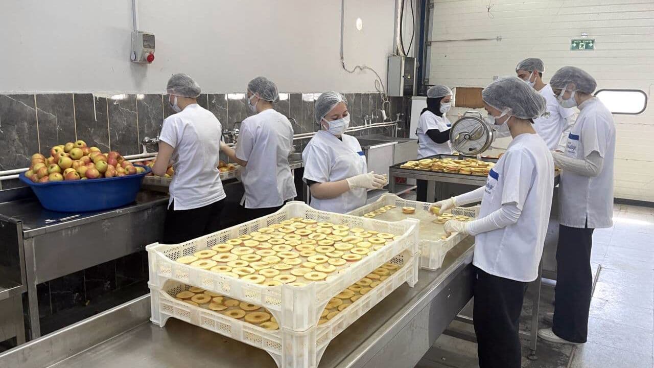 Bursa Hamidiye Tarım Lisesi, Üretim ve Eğitim Modeliyle Türkiye'ye Örnek Oluyor