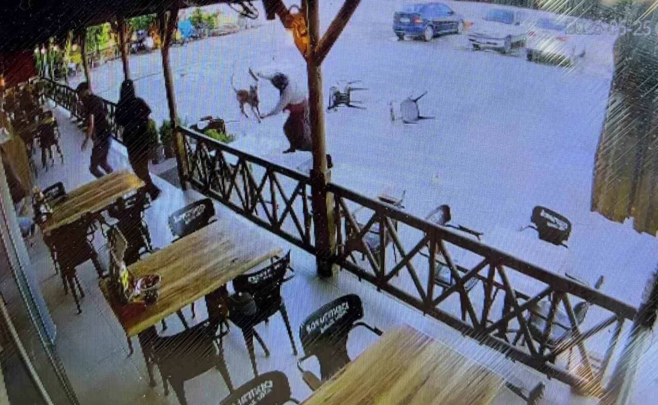 Afyonkarahisar dinlenme tesisinde köpek saldırısı anı, güvenlik kamerası görüntüsü.