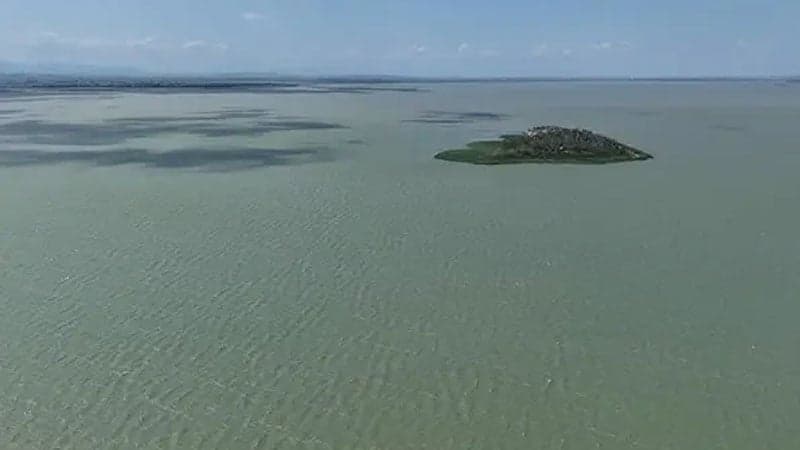 Bursa'nın Gölleri İçin Kritik Uyarı: Gıda Güvenliğinin Temeli