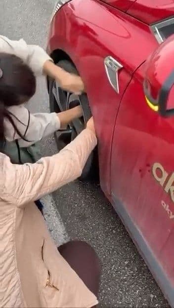 Bursa'da bir aracın tekerlek bölümünden yavru kedi kurtarma anı.