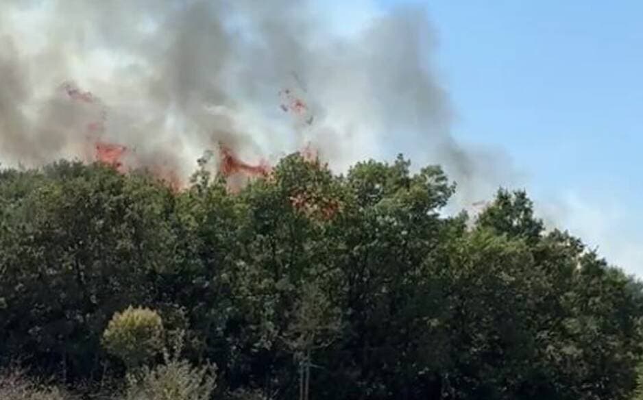Bursa Kestel'deki Orman Yangını Kontrol Altına Alındı