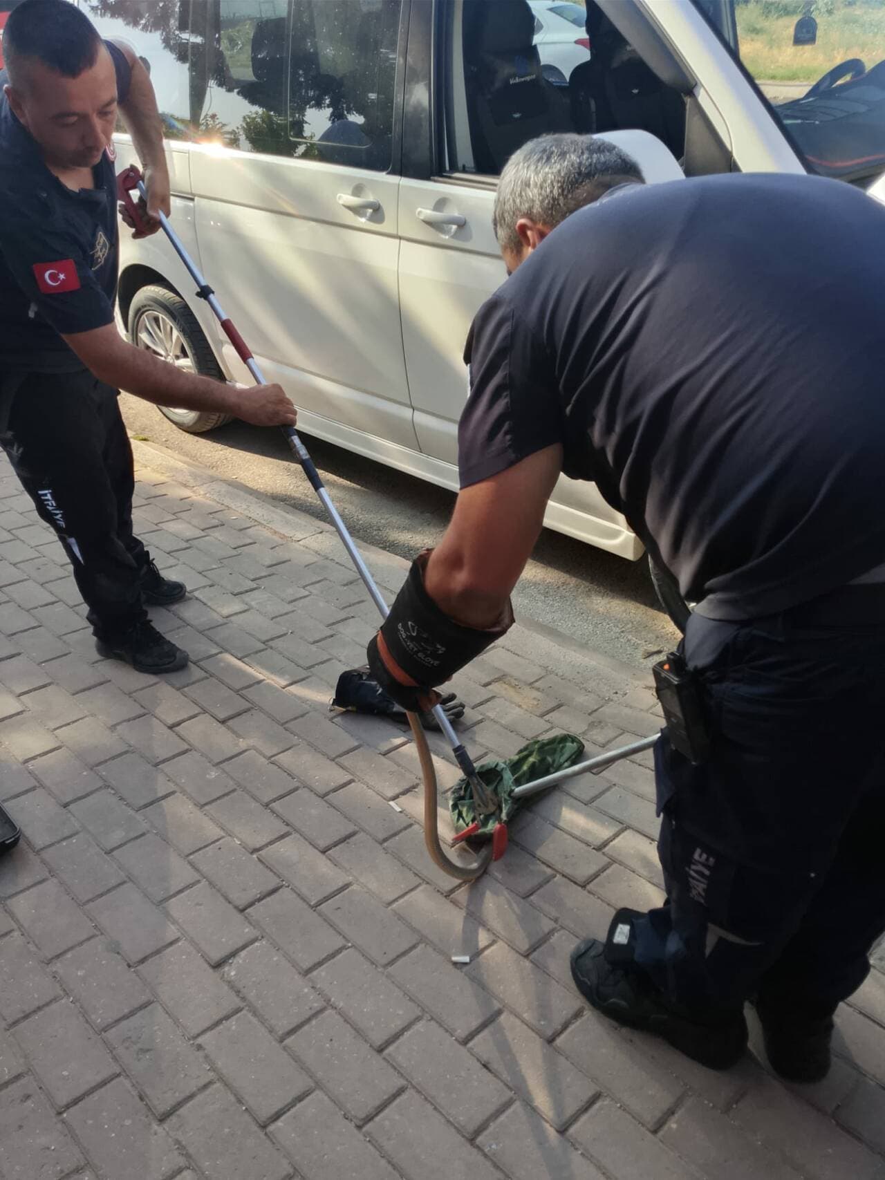 Bursa İnegöl'de minibüs motorundan yılan kurtaran itfaiye ekipleri