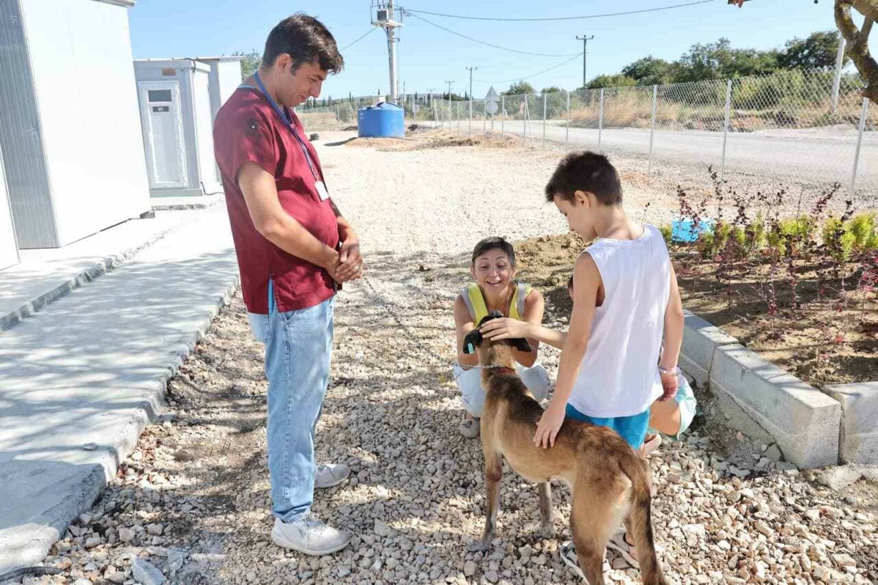 Nilüfer Belediyesi Veteriner İşleri Müdürlüğü'nden kurtarılan Belçika Kurdu Umut, yeni ailesiyle birlikte.