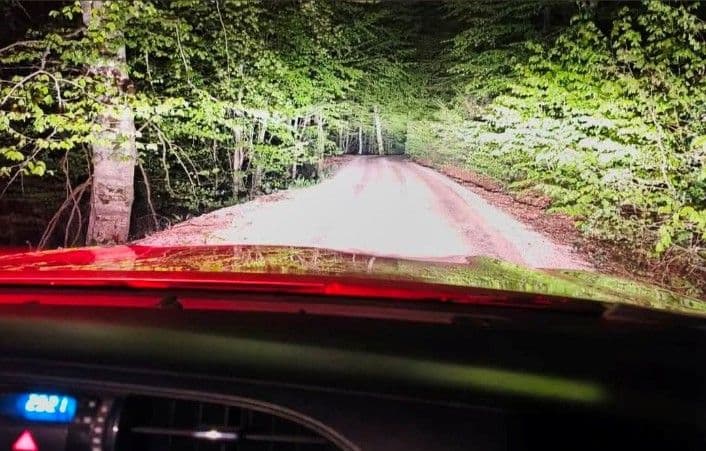 Bursa Ormanlarında Kaçak Kesimle Mücadele Hız Kazandı
