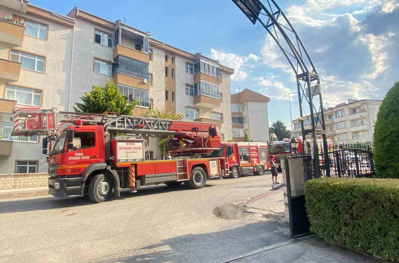 Bursa'da yangından kurtarılan anne kedi ve yavrusuna oksijen maskesi takılıyor.