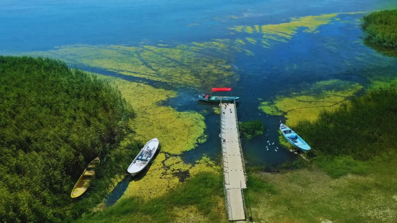 Karacabey'de Yaren Leylek Koşusu'nun Tarihi Açıklandı: 7 Haziran'da Gerçekleşecek