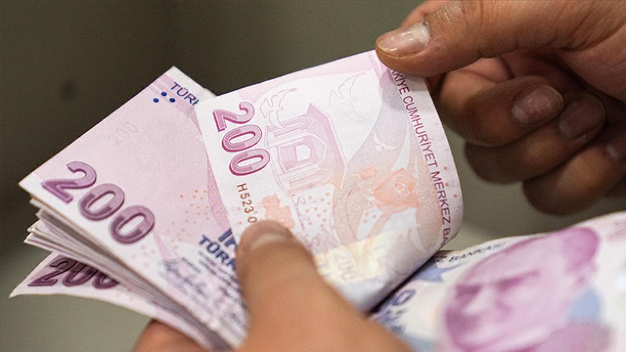 Çocuklara Yönelik Sosyal ve Ekonomik Destek (SED) Ödemeleri Hesaplara Yattı