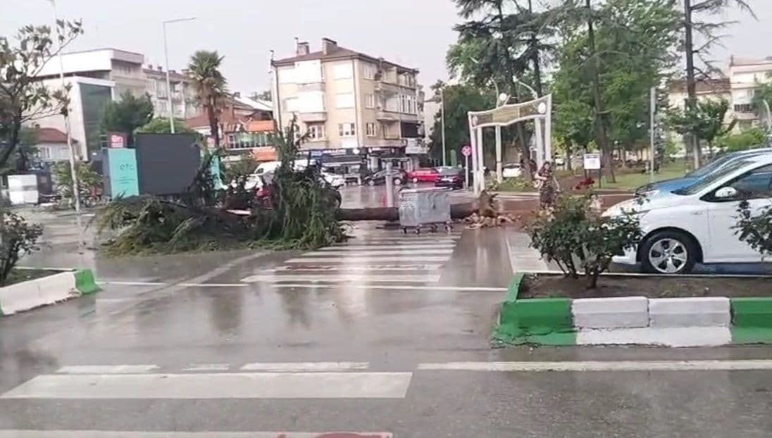 Bursa Yenişehir'de dolu ve sağanak sonrası devrilen ağaç ve su birikintileriyle kaplı cadde.