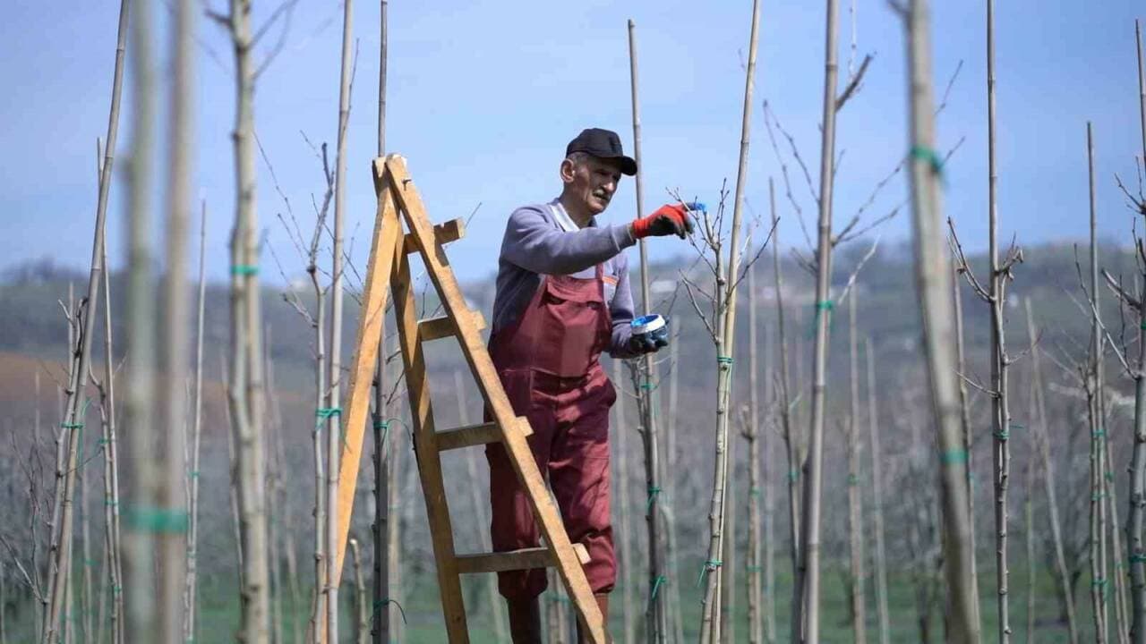Kestel Belediyesi Bahar Öncesi Kapsamlı Çalışma Başlattı: İlçe Yenileniyor
