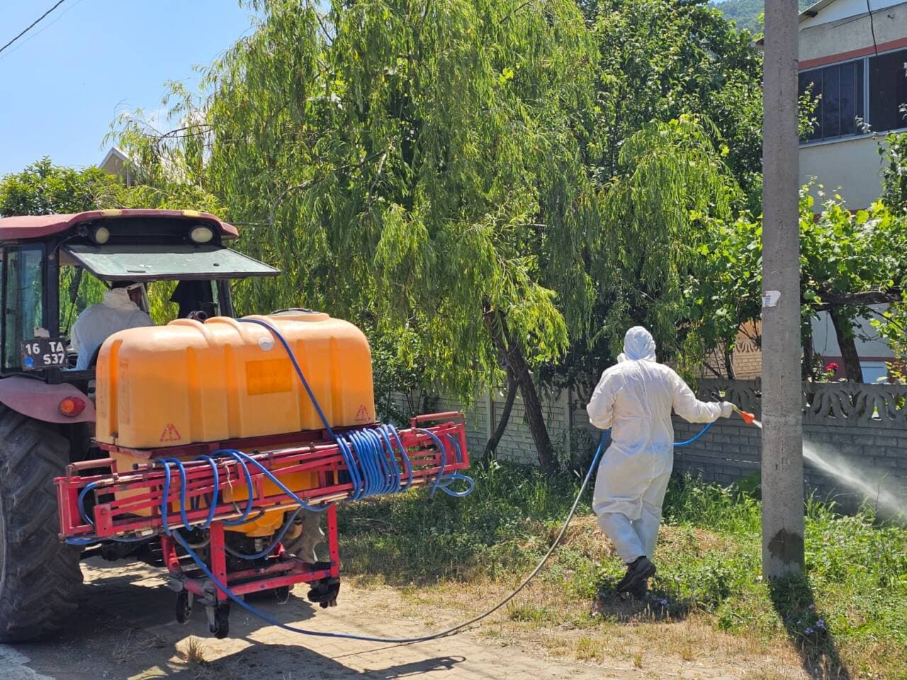 Bursa'da Kahverengi Kokarca Zararlısına Karşı Kapsamlı Mücadele Başlatıldı