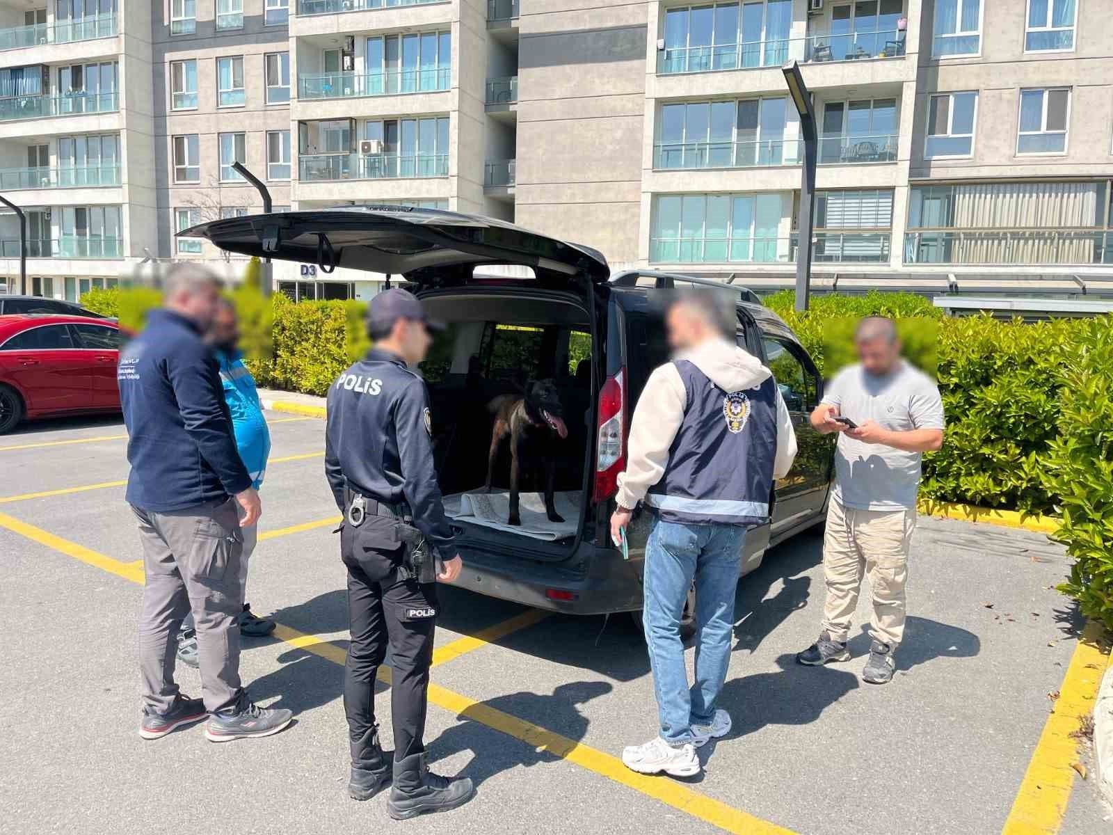 Avcılar'da Köpeğe Kötü Muamele Yapan Şüpheli Yakalandı