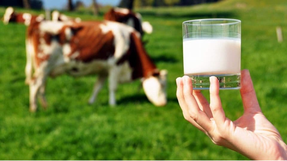 USK'dan Çiğ Süt Tavsiye Fiyatına Zam: Litre Başına 24,30 TL