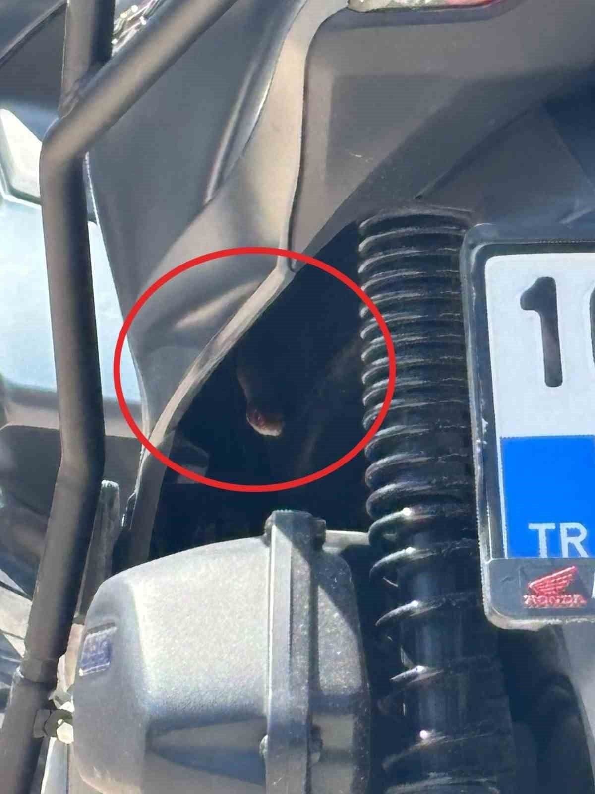 İnegöl'de motosikletten çıkan yılanın görüntüsü, itfaiye kurtarma operasyonu.
