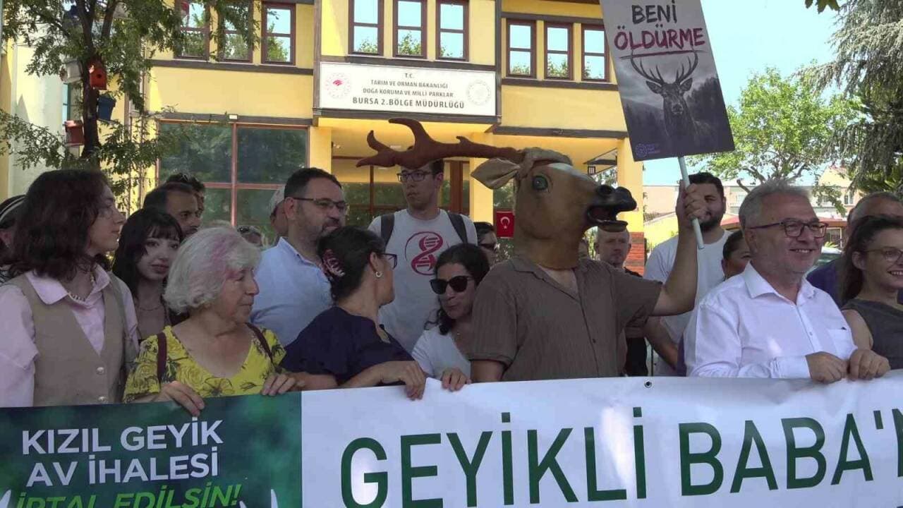 Bursa'da Kızıl Geyik Avı İhalesi Protestosu: 'Doğa Emanettir'