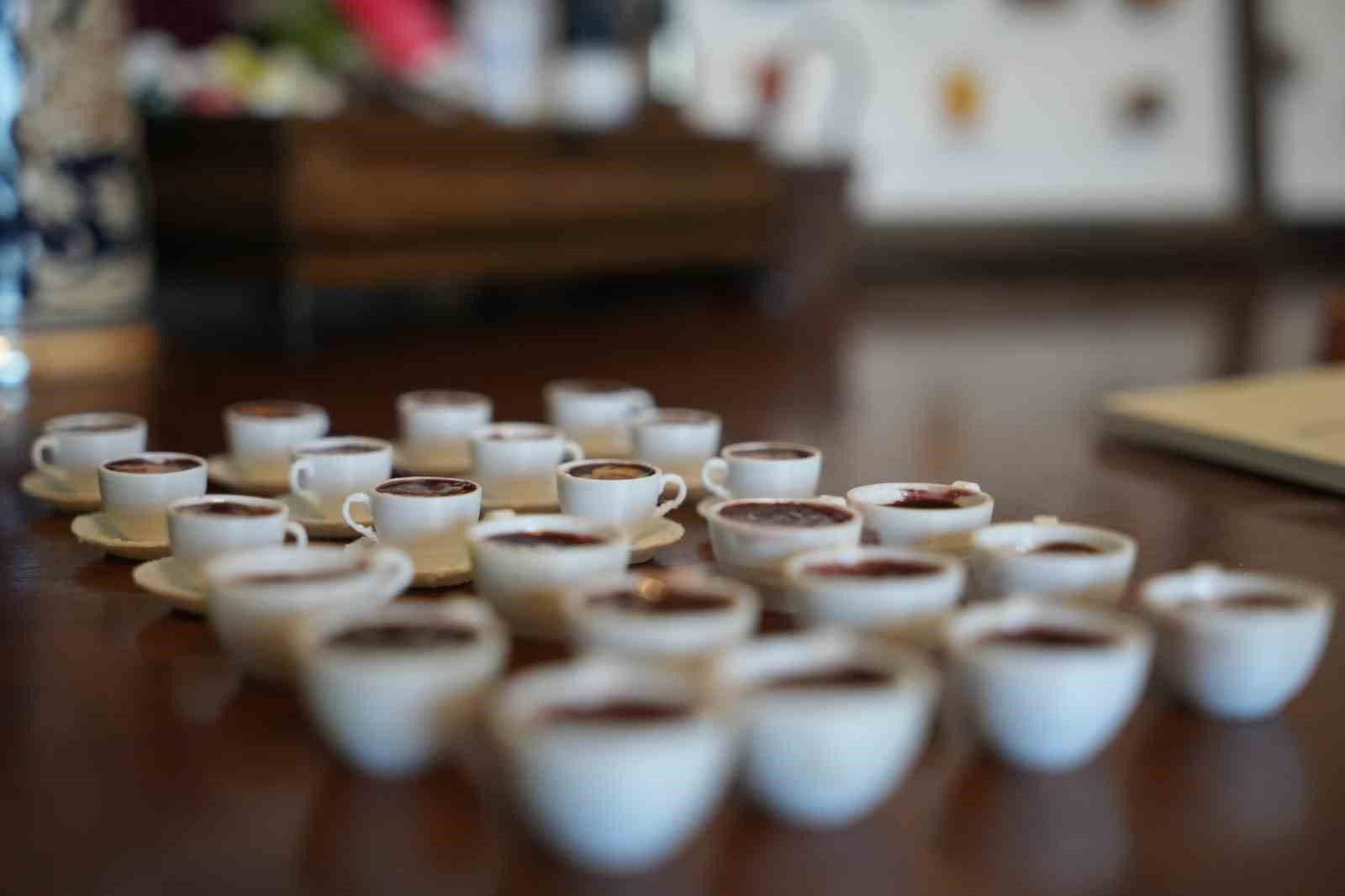 Bilgisayar Mühendisi Ayşe Betül Çalışkan, Minyatür Yiyecek Hobisini Kârlı Bir İşe Dönüştürdü
