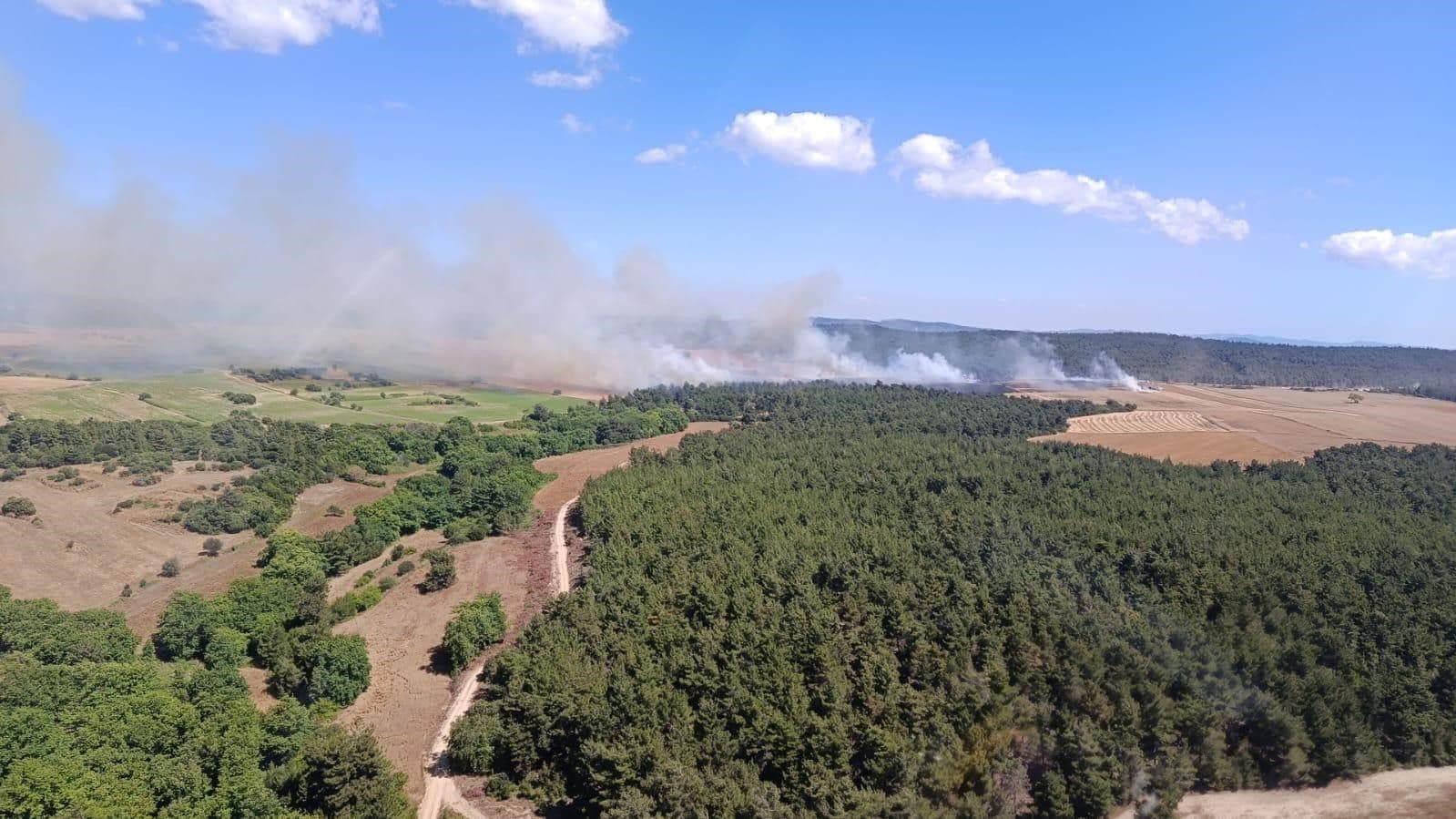 Çanakkale Eceabat'ta orman yangını, dumanlar yükseliyor