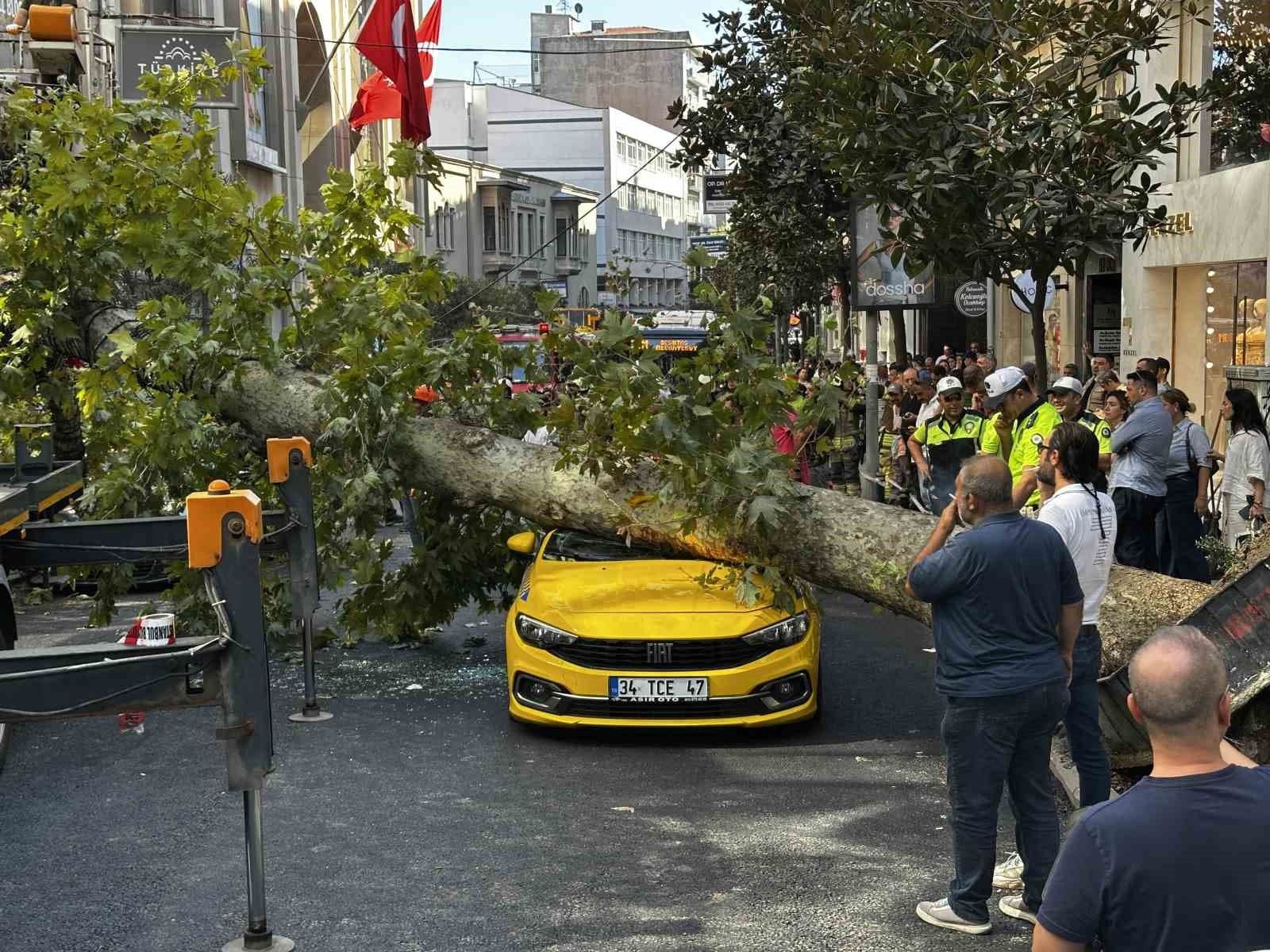 İstanbul Şişli'de devrilen çınar ağacının altında kalan sarı otomobil ve olay yerindeki ekipler.