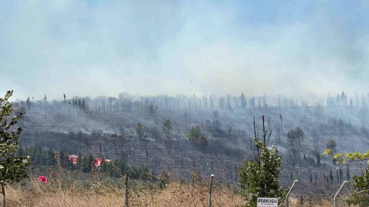 Kocaeli Gebze'de orman yangını sonrası dumanlar yükselen yanmış ormanlık alan ve müdahale araçları.