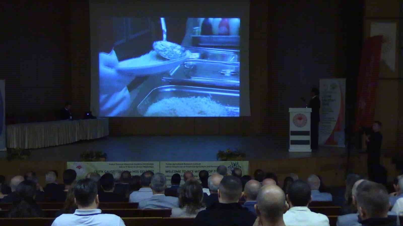 Türkiye'nin Çeltik Üretiminin Geleceği Edirne'de Masaya Yatırıldı