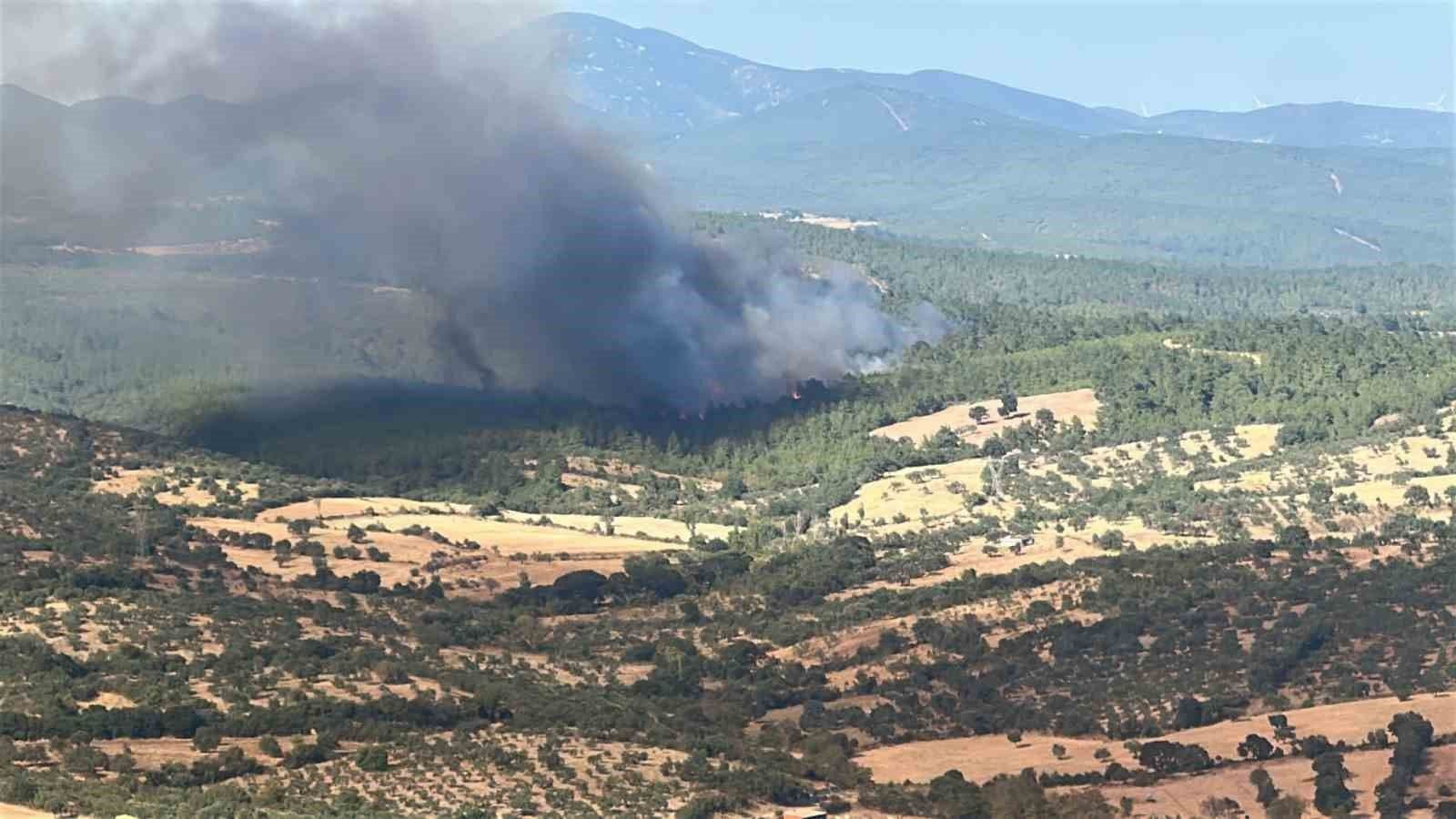 Çanakkale Bayramiç'teki Orman Yangınına Havadan ve Karadan Büyük Müdahale
