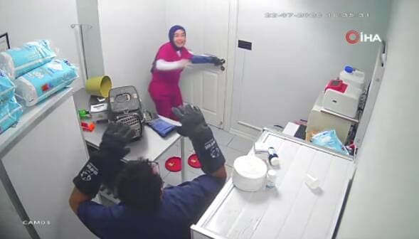 Bursa'da veteriner kliniğinde kedi paniği sonrası güvenlik kamerası görüntüsü.