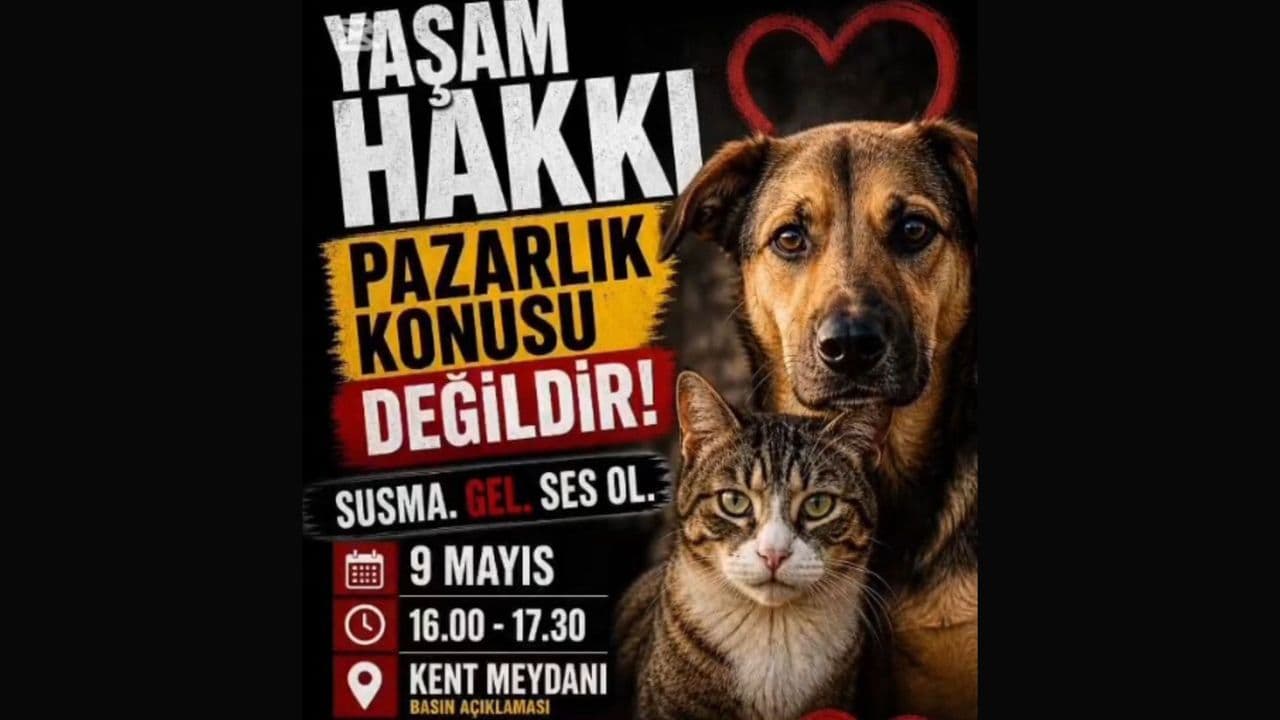 Bursa'da hayvan hakları yürüyüşü afişi, üzerinde "Yaşam Hakkı Pazarlık Konusu Değildir" yazısı, kedi ve köpek görseli.