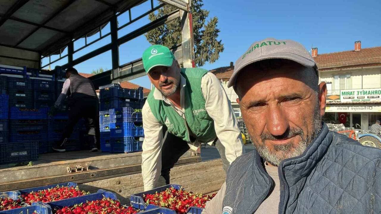 İznik'te karabodur kirazı hasadı yapan çiftçiler, kasaları kamyona yüklerken.