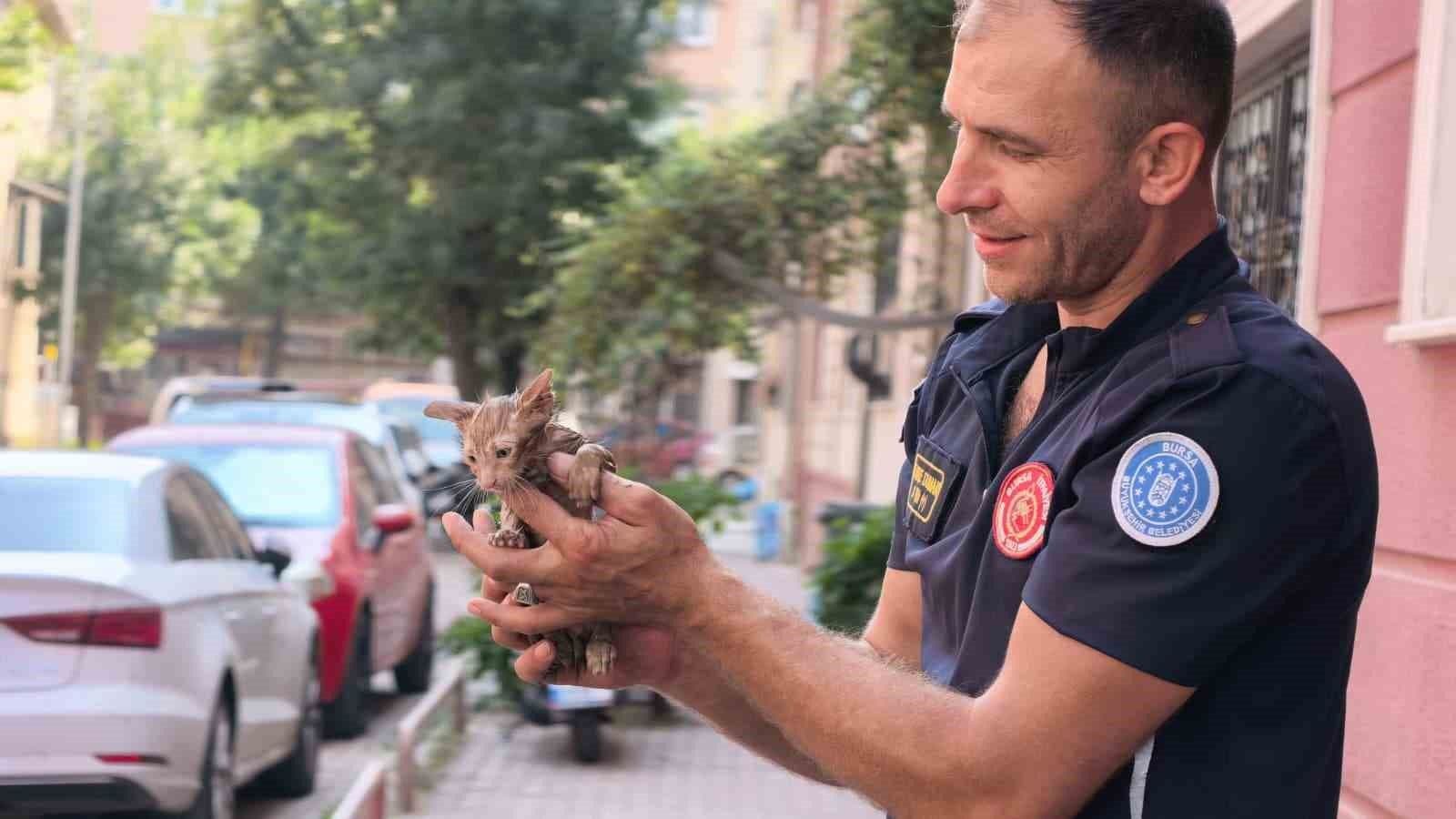 İnegöl'de itfaiye ekipleri tarafından yağmur suyu giderinden kurtarılan yavru kedi.