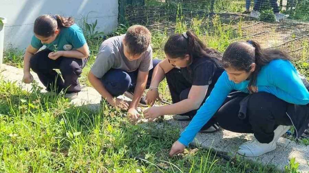 Nilüfer'de öğrenciler okul bahçesinde fide dikimi yapıyor.