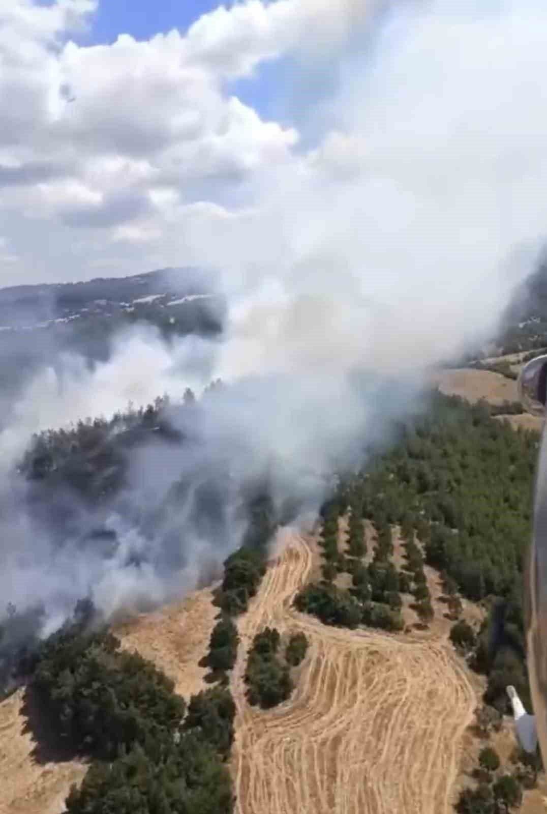 Balıkesir Altıeylül'de orman yangını, havadan dumanlar yükseliyor.