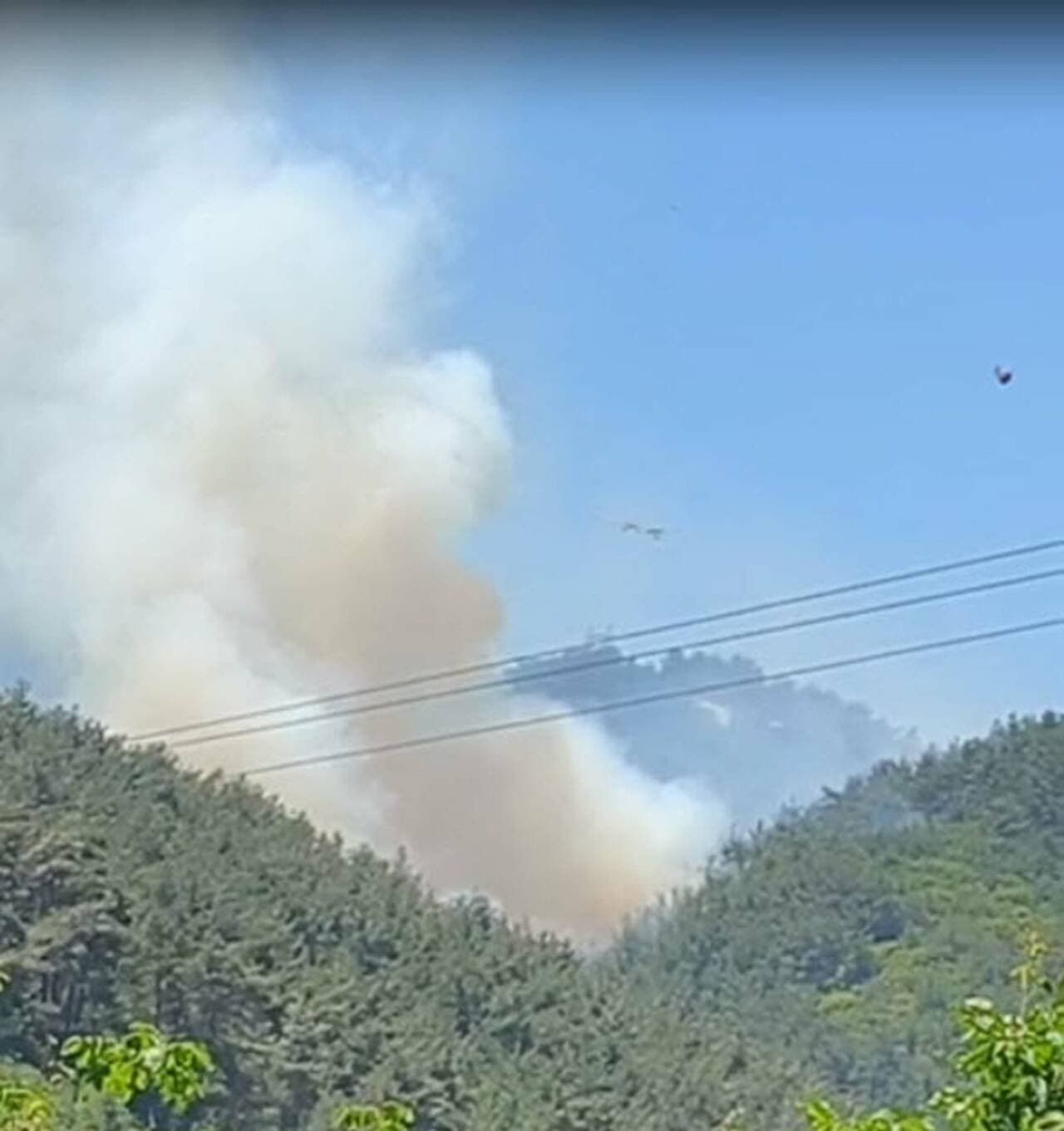 Manisa Soma'da ormanlık alanda çıkan yangından yükselen dumanlar.