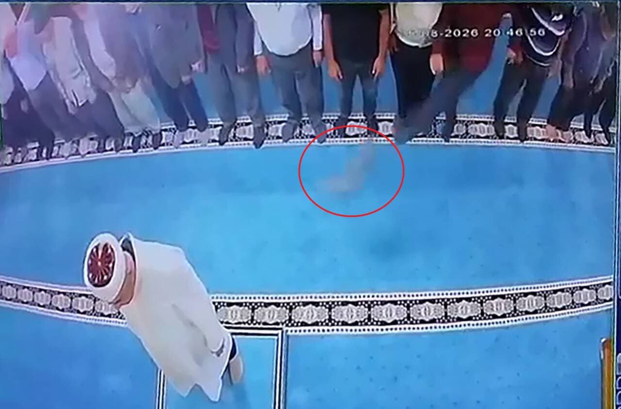 Erzurum'da camide kediye tekme atan şahsın güvenlik kamerası görüntüsü.