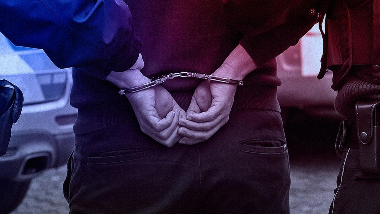 İzmir'de 33 Kedinin Ölümünden Sorumlu Veteriner Hekim Tutuklandı
