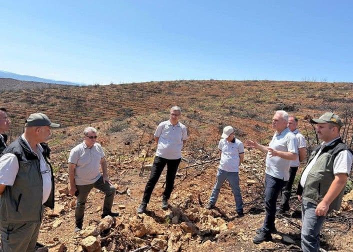 Bursa'da Yanan Orman Alanları Yeniden Yeşeriyor: Fidanlar Sağlıklı Gelişim Gösteriyor