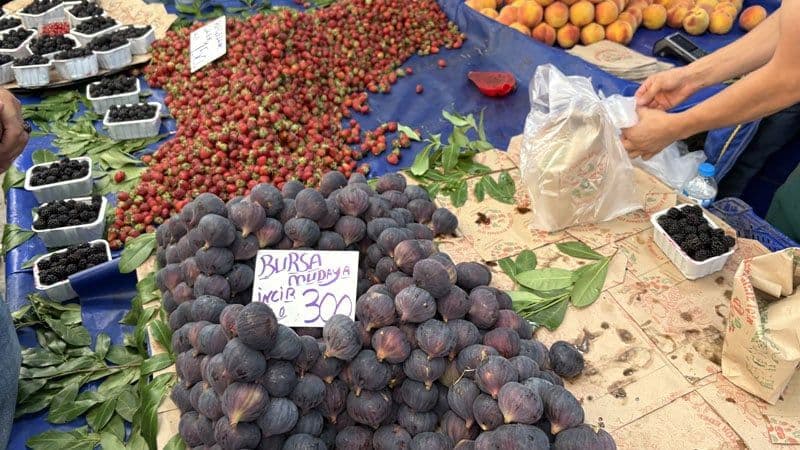 Bursa'da çiftçinin feryadı: Ürün tarlada kalırken, tüketici pahalıya alıyor