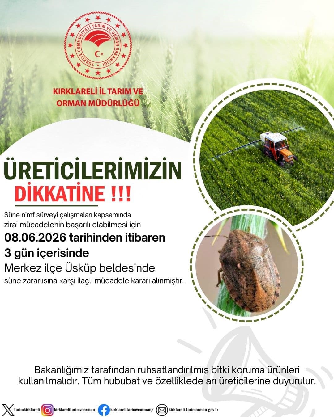 Kırklareli'nde Süne Zararlısına Karşı Kritik İlaçlama Çağrısı: Üreticiler Harekete Geçiyor