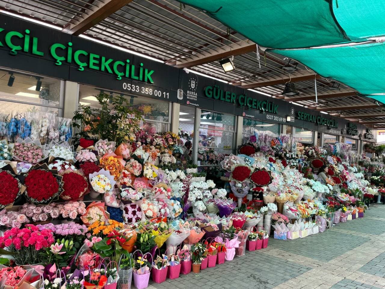 Bursa'da Anneler Günü öncesi çiçekçilerde rengarenk çiçek buketleri ve saksı bitkileri sergileniyor.