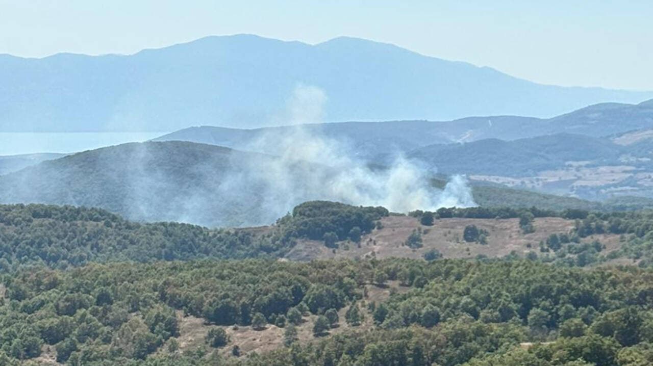 Bursa İznik'te çıkan yangından yükselen dumanlar, ormanlık alan ve dağ manzarası.