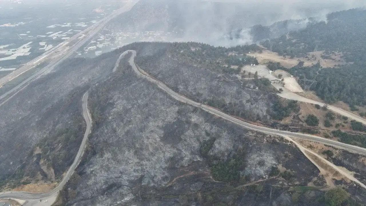 Bursa'da Yanan Ormanlık Alana Maden Başvurusu: DOĞADER ve Köylülerden Ortak Tepki
