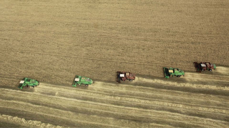 Rusya'nın Buğday İhracatı İlk Çeyrekte Yüzde 14 Arttı: Türkiye İkinci Büyük Alıcı