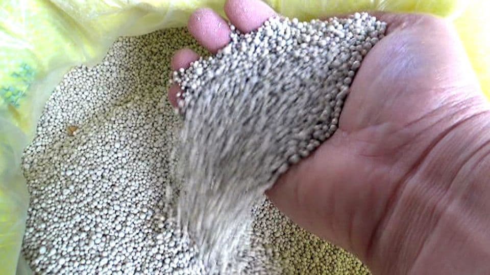 Avuç içinde tutulan granül formda gübre.
