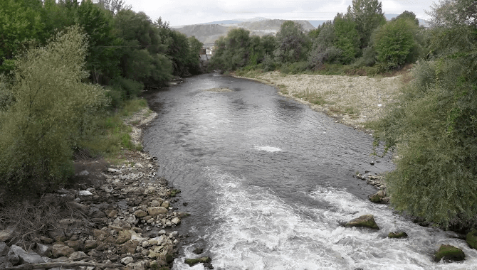 Bursa Orhaneli Kocasu'da binlerce ölü balık ve inceleme yapan ekipler